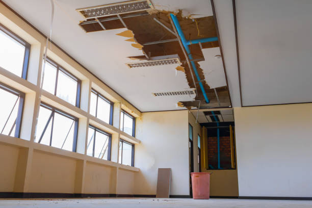 Best Professional water damage repair  in Brushy, OK