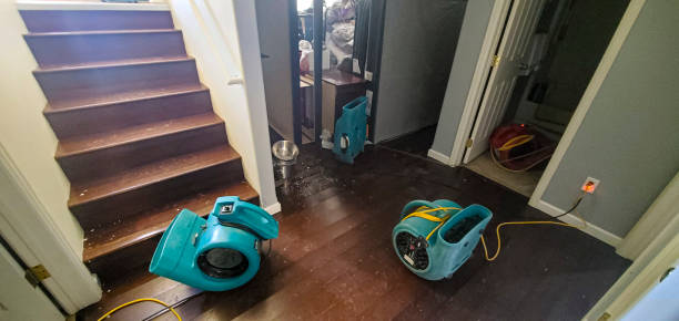 Best 24-hour water damage restoration  in Brushy, OK
