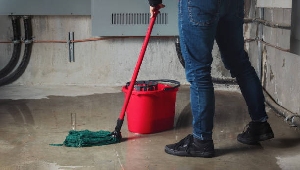 Best Water damage restoration near me  in Brushy, OK