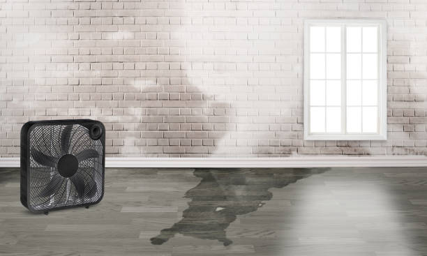 Best Commercial water damage restoration  in Brushy, OK