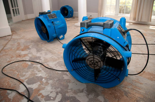 Best Fire Damage Restoration  in Brushy, OK