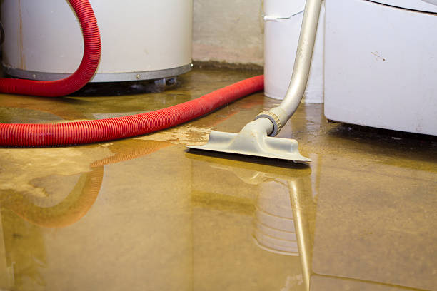 Best Water damage restoration company  in Brushy, OK