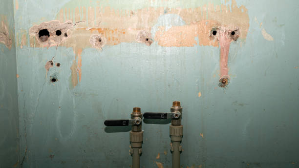 Best Water damage contractors near me  in Brushy, OK