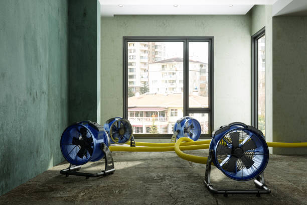 Best Emergency water damage restoration  in Brushy, OK
